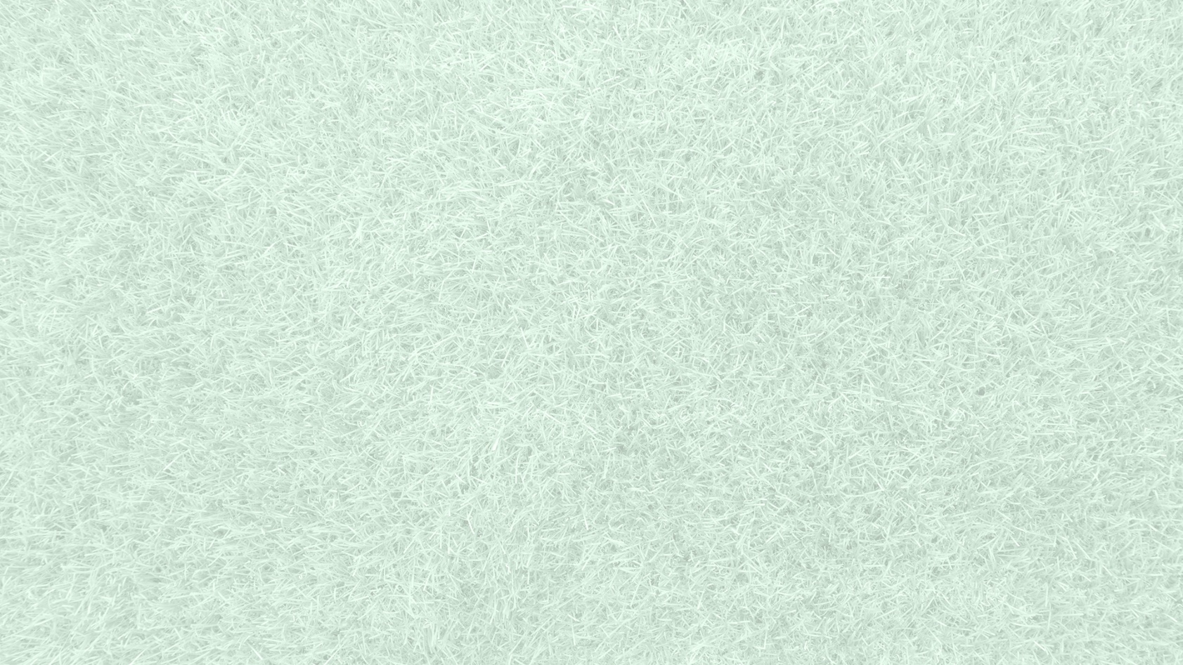 コンセプト
